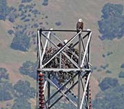 Picture/image of Sunol Regional Park