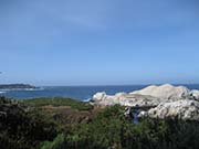 Picture/image of Point Lobos