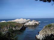 Picture/image of Point Lobos
