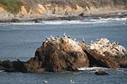 Picture/image of Pigeon Point Light Station