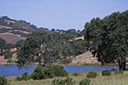 Picture/image of Del Valle Regional Park