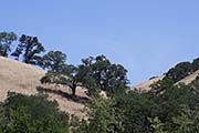 Picture/image of Del Valle Regional Park