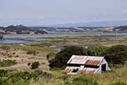 Picture/image of Elkhorn Slough