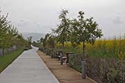 Picture/image of Pacific Commons Linear Park