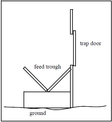 Pig trough