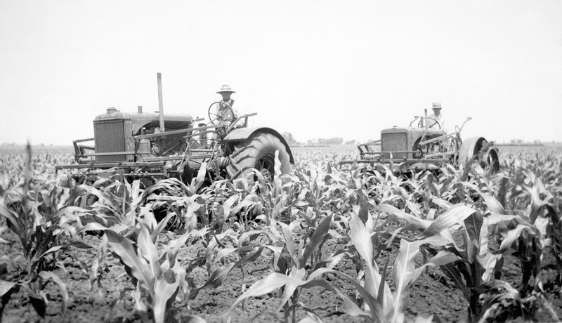 Last cultivation of the year, 1938