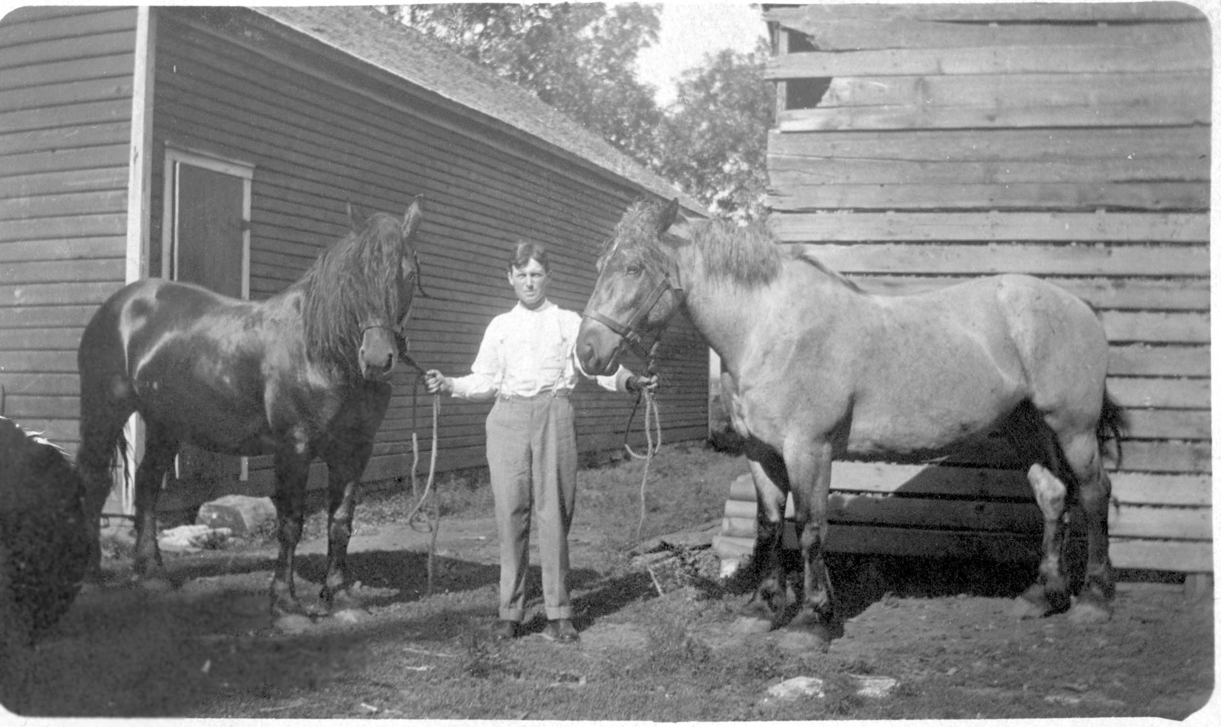 Walter and horses, ca. 1910